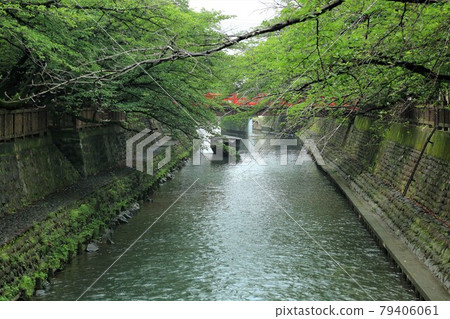 Ogaki, 25 (Ogaki City, Gifu Prefecture) 79406061