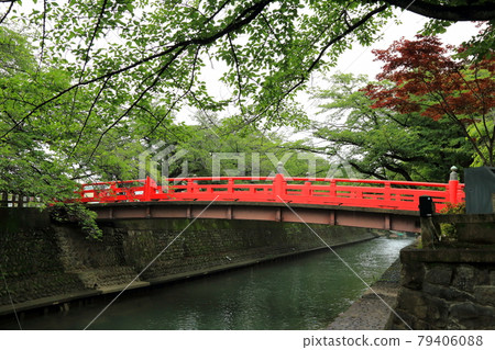 大垣7(岐阜縣大垣市) 大垣7(岐阜縣大垣市) 79406088