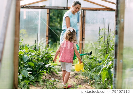 A happy little girl helps her mother to water the plants in the greenhouse. Childhood, parenting, upbringing A happy little girl helps her mother to water the plants in the greenhouse. Childhood, parenting, upbringing 79407113
