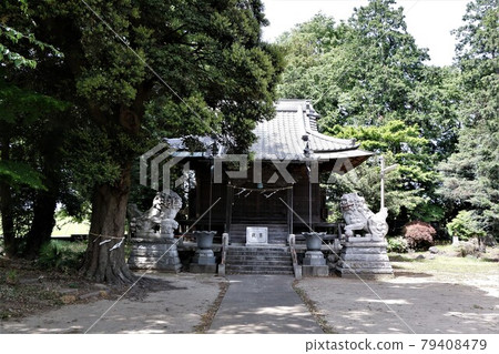 中瀨神社 中瀨神社 79408479