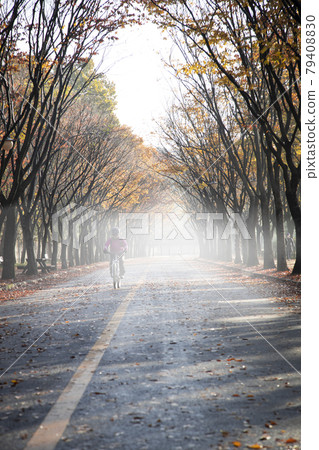 A tree-lined street with autumn leaves 79408830