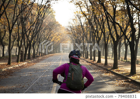 林蔭路與秋葉 79408831
