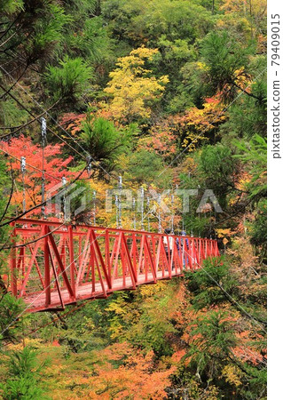 Autumn leaves and red bridge 79409015