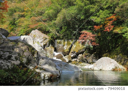 Autumn leaves in the valley Autumn leaves in the valley 79409018