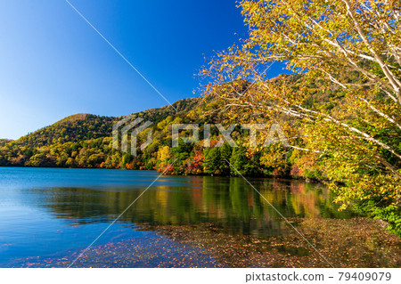 Oku Nikko, autumn leaves of Lake Yuno Oku Nikko, autumn leaves of Lake Yuno 79409079