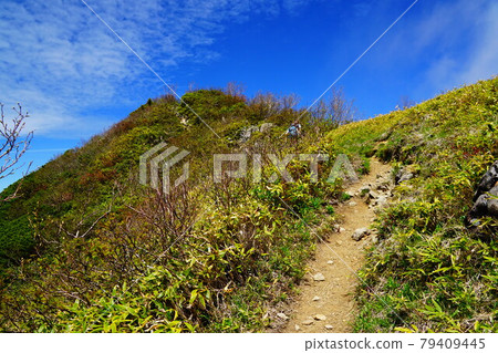 Mt. Takatsuma, the summit soon Mt. Takatsuma, the summit soon 79409445