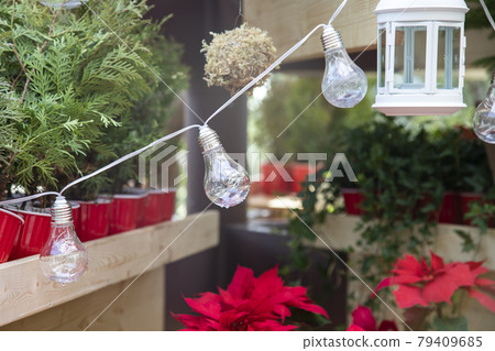 Incandescent light bulb hanging from a wire Incandescent light bulb hanging from a wire 79409685