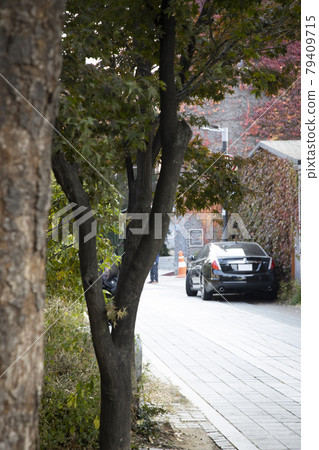 Car parked in an alley 79409715