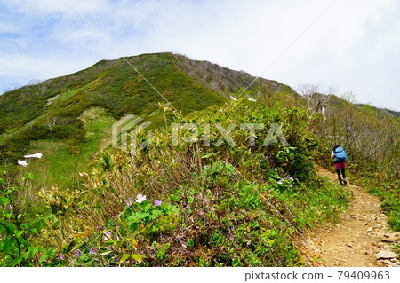 高津山：通往九生山頂的道路 79409963