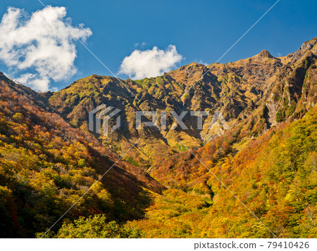 Autumn leaves of Mt. Tanigawa seen from Machigazawa Autumn leaves of Mt. Tanigawa seen from Machigazawa 79410426