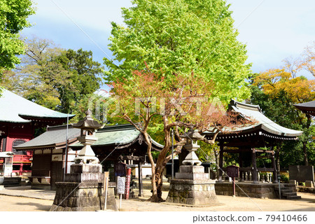 Katsufukuji Iizumi Kannon Katsufukuji Iizumi Kannon 79410466