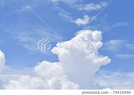 Developing cumulonimbus 79410490