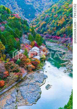 秋季嵐山京都京都嵐山 79411582