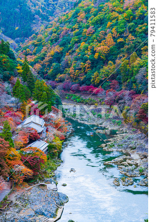 秋季嵐山京都京都嵐山 79411583