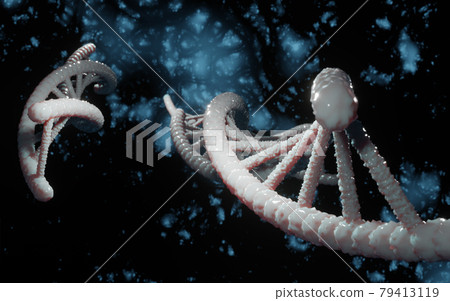 DNA structure, abstract helix molecule plexus on isolated dark blue background. Medical science, genetic biotechnology, gene cell evolution, chemistry biology, futuristic genome 3d illustration DNA structure, abstract helix molecule plexus on isolated dark blue background. Medical science, genetic biotechnology, gene cell evolution, chemistry biology, futuristic genome 3d illustration 79413119