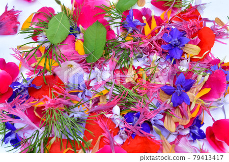 Flower petals of different colors and shapes on white. Flower petals of different colors and shapes on white. 79413417