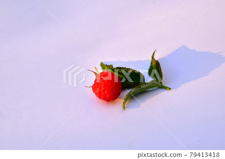 Ripe raspberries and a green leaf on a white table. 79413418