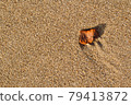 a pebble on the sea sand 79413872