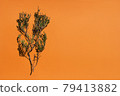 a branch of heather on an orange background 79413882