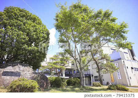 佐渡市政府 佐渡市政府 79415375