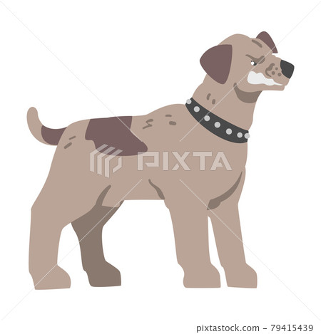 Angry Aggressive Pedigree Dog Baring its Teeth Vector Illustration 79415439