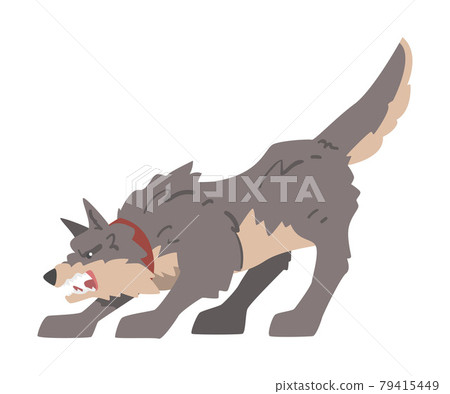 Aggressive Gray Dog Barking and Baring its Teeth Vector Illustration Aggressive Gray Dog Barking and Baring its Teeth Vector Illustration 79415449