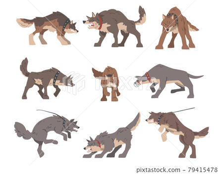 Set of Aggressive Large Dogs Baring its Teeth and Barking Vector Illustration 79415478