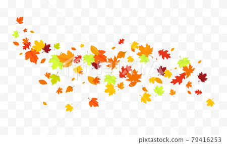 Autumn falling leaves isolated Autumn falling leaves isolated 79416253