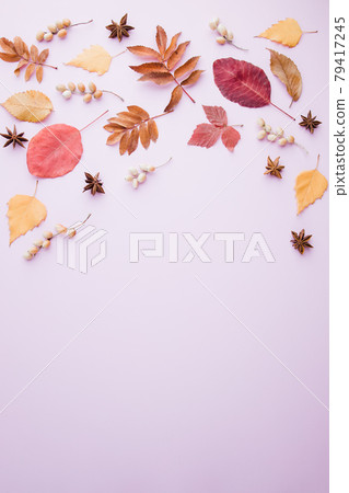 Autumn floral design composition of fall leaves 79417245