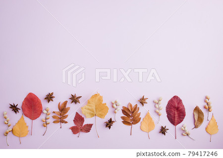 Autumn floral design greeting card of dried leaves Autumn floral design greeting card of dried leaves 79417246