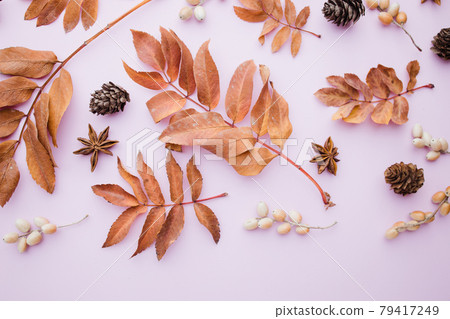 Autumn pattern made of dried leaves and pine cones Autumn pattern made of dried leaves and pine cones 79417249