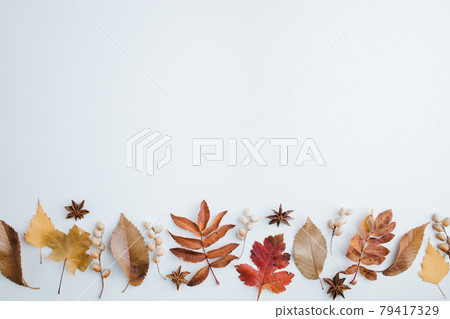 Autumn background, border of dried leaves on white Autumn background, border of dried leaves on white 79417329