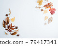 Autumn floral design composition of fall leaves 79417341