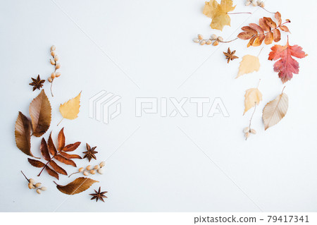 Autumn floral design composition of fall leaves Autumn floral design composition of fall leaves 79417341