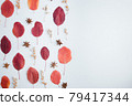 Autumn background, pattern of red dried leaves 79417344