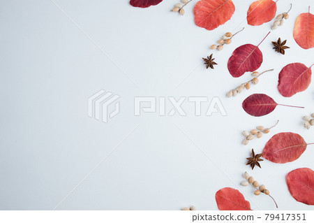 Autumn floral greeting card of fall red leaves 79417351