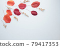 Autumn floral design composition of fall leaves 79417353