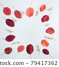 Wreath of dried red leaves on white background 79417362