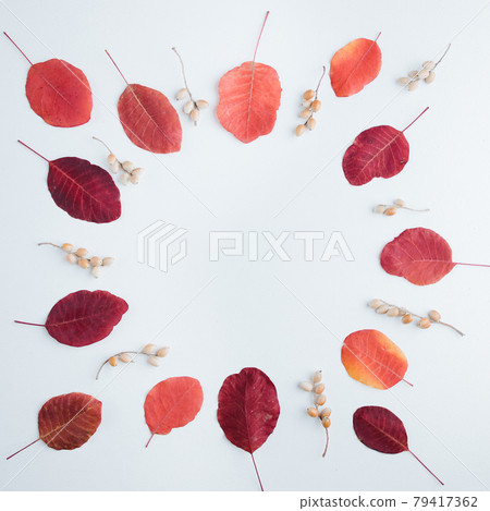 Wreath of dried red leaves on white background 79417362