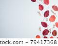 Autumn floral design composition of fall leaves 79417368