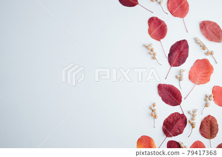 Autumn floral design composition of fall leaves 79417368
