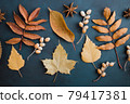 Autumn background, pattern made of dried leaves 79417381
