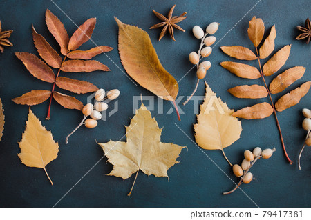 Autumn background, pattern made of dried leaves 79417381
