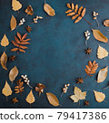 Autumn or winter composition of dried leaves 79417386