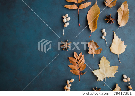 Autumn background made of dried leaves border Autumn background made of dried leaves border 79417391
