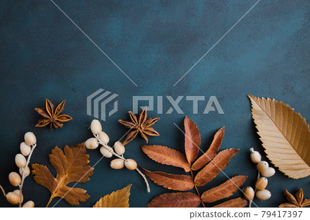Autumn floral design greeting card of dried leaves 79417397