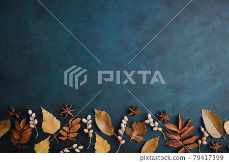 Autumn background, border of dried leaves on dark 79417399