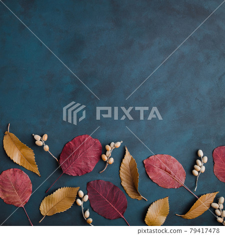 Autumn floral design greeting card of dried leaves 79417478