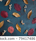 Autumn background, pattern made of dried leaves 79417486