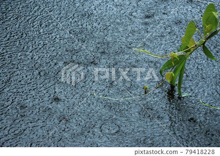 落在路面上的雨 落在路面上的雨 79418228